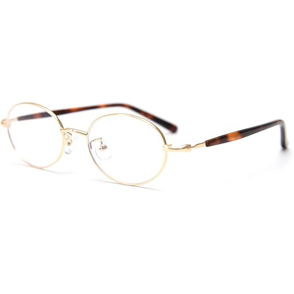 XPL Runway Eyewear RT-806 Wine & Silver TITANIUM Eyeglasses  display picture 1