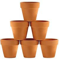 Winlyn 6 Pcs Terracotta Pot Clay Pots 4