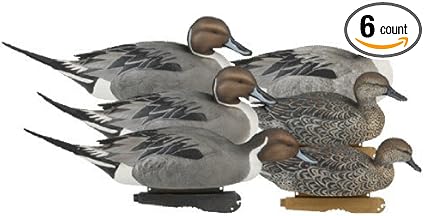 Amazon Com Avery Ghg Pro Grade Pintails 6 Pack Hunting Decoys
