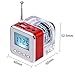 Haoponer Portable Mini Digital Display Screen Speaker USB Flash Drive Micro SD/TF Card Music MP3 Player FM Radio Silver