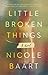 Little Broken Things: A Novel