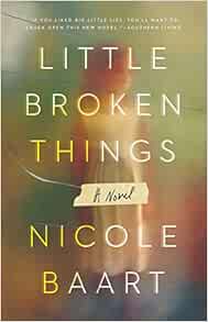 Little Broken Things A Novel Baart Nicole 9781501133602 Amazon Com Books