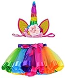 LYLKD Tulle Rainbow Tutu Skirt for Newborn Baby Girls 1st Birthday Photography Outfit Sets with Unicorn Headband. (Rainbow #1, S,0-24 Months)