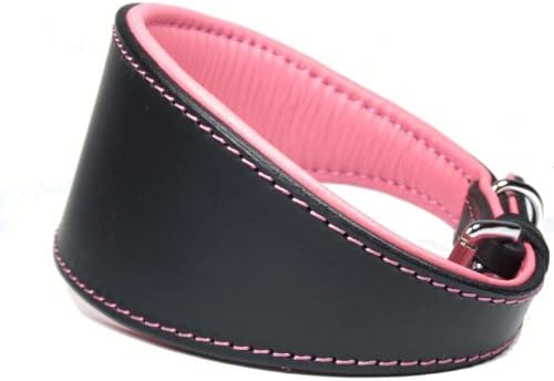 LEATHER DOG COLLAR. (Medium: 16" –fits neck sizes from 12" to 14”)
