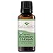 Plant Therapy Organic Rosemary Essential Oil 100% Pure, USDA Certified Organic, Undiluted, Natural Aromatherapy, Therapeutic Grade 30 mL (1 oz)