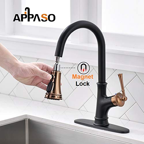 Kitchen Sink Sprayer Hose Leak