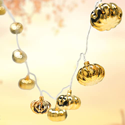 DomeStar Halloween Pumpkin String Lights, 9.8FT 20LED Pumpkin Lights Waterproof Halloween String Lights Flash Holiday Lights for Patio Garden Gate Halloween Outdoor Decor