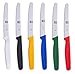 6 Piece Steak Knife Set, Stainless Steel 4.5 Inch Blades, With Black, White, Red, Blue, Yellow and Green Handles. By ICEL