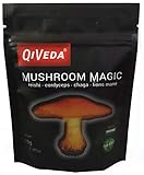 Mushroom Magic - 16:1 Reishi, Cordyceps, Chaga, Lion's Mane Dual Extract Blend 45g - Certified Organic