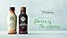 Starbucks, Iced Latte, Molten Chocolate, 14 Fl Oz (Pack of 8)