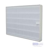 Pureburg 1-Pack Replacement HEPA Filter for Sharp FZ-A60HFU fits Sharp Plasmacluster FP-A60UW FP-A60U air purifiers