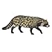 Collecta 88824 African Civet Miniature Animal Figure Toy