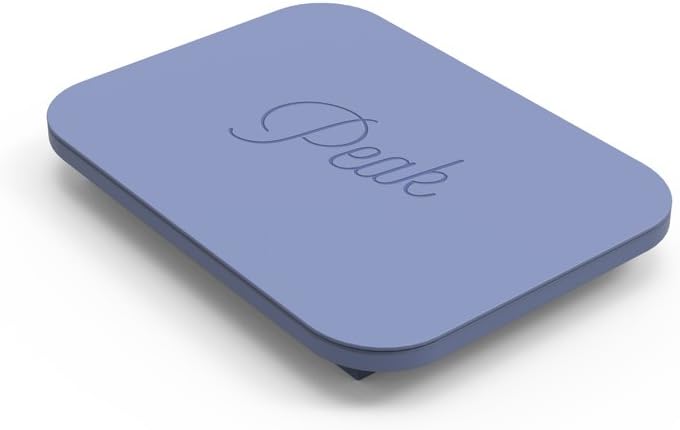 W&P Peak Peak Silicone Water Bottle Ice Tray w/ Protective Lid | Blue | Easy to Remove Ice | Food Grade Premium Silicone | Dishwasher Safe, BPA Free