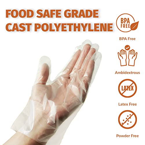 (1000) KLEX 1000 BPA Free Disposable Heavyweight Cast Poly CPE Gloves