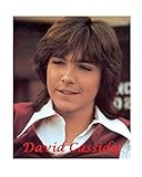 David Cassidy