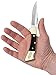 Case Ebony Mako Pocket Knife