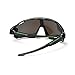 Phellps Newest Outdoor Sports Sunglasses - Professional Fashion Cycling Hiking Skiing or Fishing.