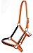 PRORIDER Nylon Horse Halter Hardware Padded Lead Rope Tack Orange Rodeo Bling 606162ORthumb 1