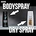 AXE Dry Spray Antiperspirant Deodorant, Signature Night, 3.8 oz, 3 ct