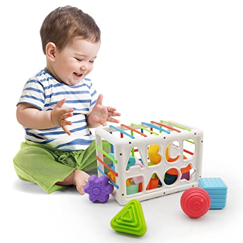 KUTOI Baby Shape sorter Toy， Sorting Sensory bin Toys with Elastic