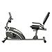 Exerpeutic 900XL Extended Capacity Recumbent Bike with Pulse