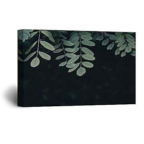 Canvas Wall Art - Leaves with Black Background - Giclee Print Gallery Wrap Modern Home Art Ready to Hang - 12" x 18