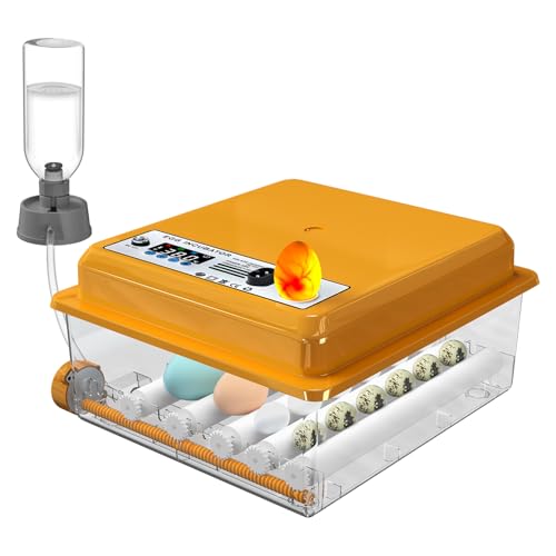 41ZlcTZAS6L Chalixion Brutautomat Vollautomatisch Für 16 Eier Mit Temperaturregelung Automatischem Wenden, Inkubator Hühner Mit Verstellbaren Walzen Und Automatischer Wasserzugabe, Brutmaschine Led Eierleuchte