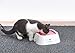 OKAWADACH Dog Water Bowl, Dog Bowl Slow Water Feeder Dog Bowl No-Spill Pet Water Bowl for Dogs and Cats