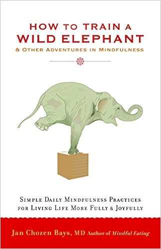 How to Train a Wild Elephant: And Other Adventures in Mindfulness, by Jan Chozen Bays How to Train a Wild Elephant: And Other Adventures in Mindfulness, by Jan Chozen Bays