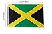 TSMD Jamaica Flag, 100 Feet Jamaican Flag National Country World Pennant Flags Banners String,Internationl Party Decorations for Grand Opening,Olympics,Bar,School Sports Events,Festival Celebration