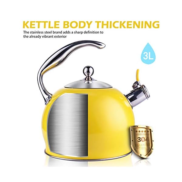 Tea Kettle Best 3 Quart induction Modern Stainless Steel Surgical