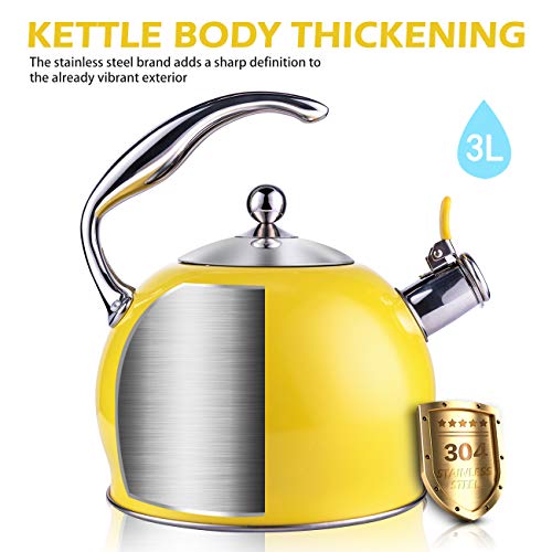 Tea Kettle Best 3 Liter induction Modern Stainless Steel Surgical
