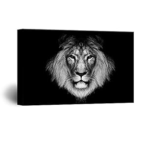 Lion Print Black Background - Canvas Art