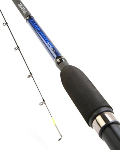 daiwa 10ft