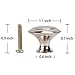 CoZroom Stainless Steel Cabinet Hardware Round Knob--25 Pack