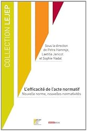 L' efficacité de l'acte normatif