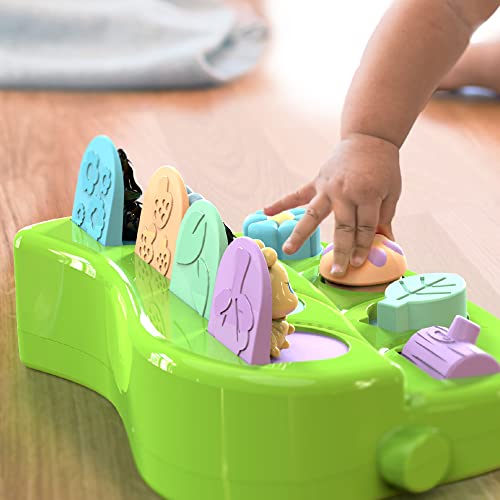 Pop Up Cause and Effect Toy Toys for 9 Month Old +, Baby, Early