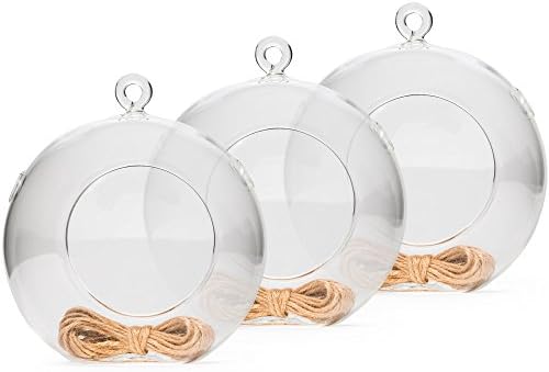 Hathaspace Air Plant Glass Terrarium (5-Inch) + BONUS Jute Rope, Glass Orb/Globe Hanging Holder for Succulents &amp; Indoor House Plants or Candles, Greenhouse Terrarium Kit Container &amp; Planter (3 Pack)