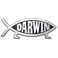 Darwin Fish Car Emblem