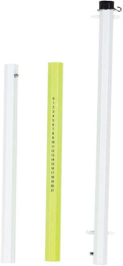Franklin Sports Classic Badminton Set : Sports & Outdoors