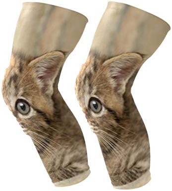 Knee Sleeve Funny Cat Full Leg Brace Compression Long Sleeves Pads for Meniscus Tear, Arthritis, Running, Workout, Basketball, Sports, Men and Women 1 Pair