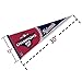 Rico 2019 Washington Nationals World Champions Pennant