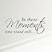 Innovative Stencils in These Moments Time Stood Still Home Wall Decal Sticker Family Quote Art #1292 (28