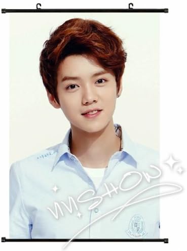 Amazon Exo エクソ メンバー Luhan ルハン 絵画 ポスター 韓国スター ファッション 韓流グッズ Exoグッズ Exo風 Exo シューズ バッグ