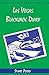 Las Vegas Blackjack Diary by 