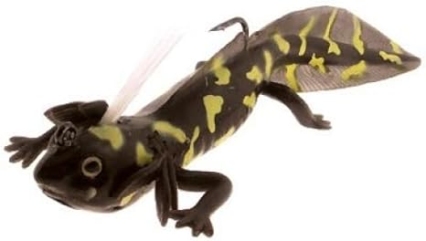 River2sea nest raider Clearance