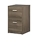 DEVAISE 2-Drawer Wood Vertical File Cabinet / Letter Size, 16.2