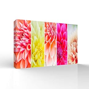 wall26 Canvas Wall Art Colorful Flowers Pictures Home...