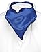 Biagio ASCOT Solid ROYAL BLUE Color Cravat Men's Neck Tie