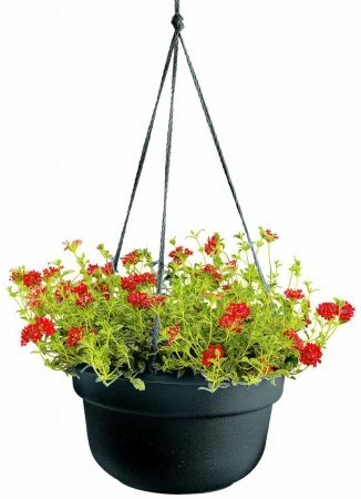 Bloem DCHB12-00 Dura Cotta Hanging Basket/Planter, 12-Inch, Black